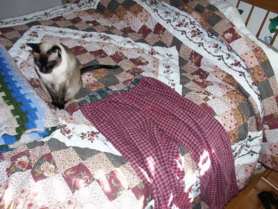 HousePants HousePants
