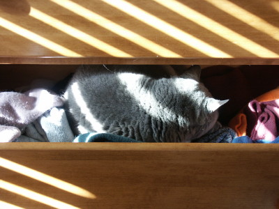 VandeInSockDrawer VandeInSockDrawer