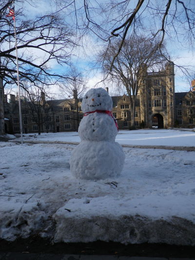 LSSnowMan