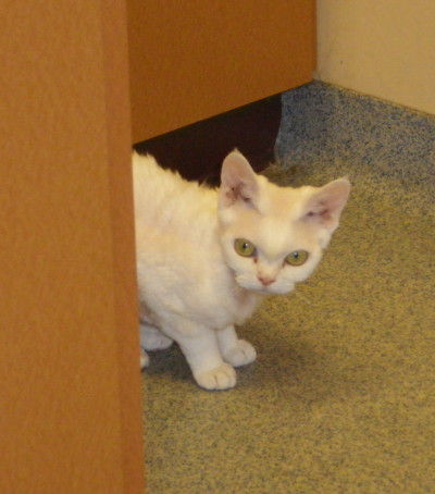 12-15-11Tess
