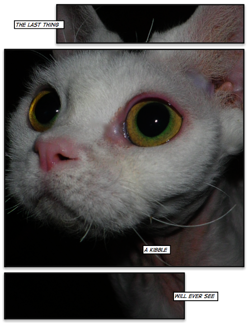 2011-08-26.png