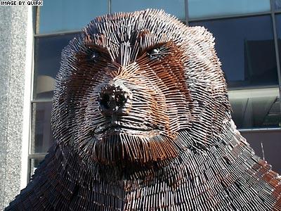 Bear_Face.jpg