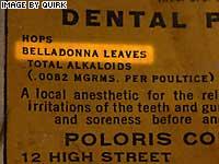 Belladonna.jpg