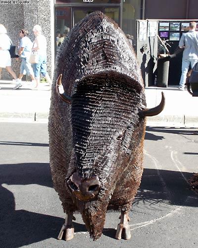 Bison.jpg