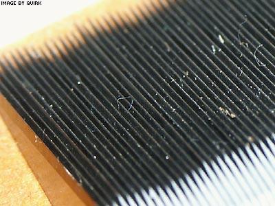 BulkSharp.jpg