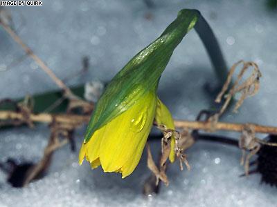 MichiganSpring.jpg