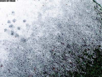 PorchSnow.jpg