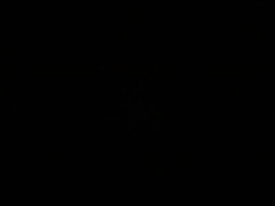 Dark.jpg