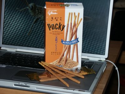 KinakoPocky.jpg