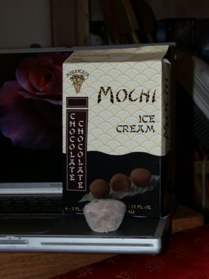 MochiChocolateChocolate.jpg