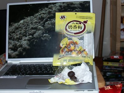 NaiXiangMei.jpg
