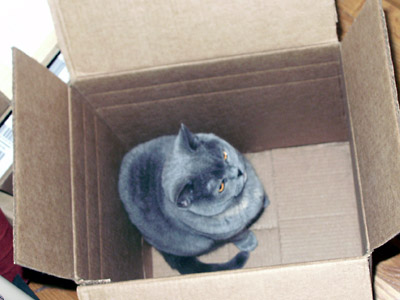 VandeBox.jpg