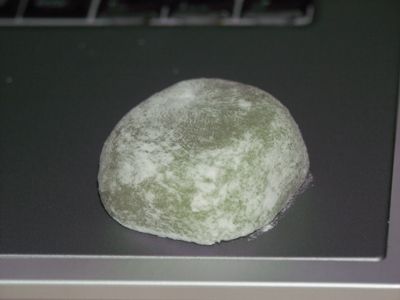 YomogiCloseUp.jpg