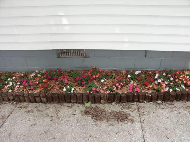 ColorfulFlowers