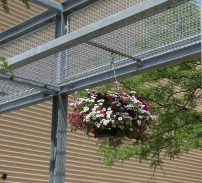 hangingbasket