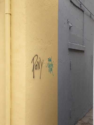Pony3