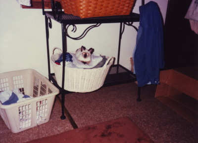 BabyBasketIsaak