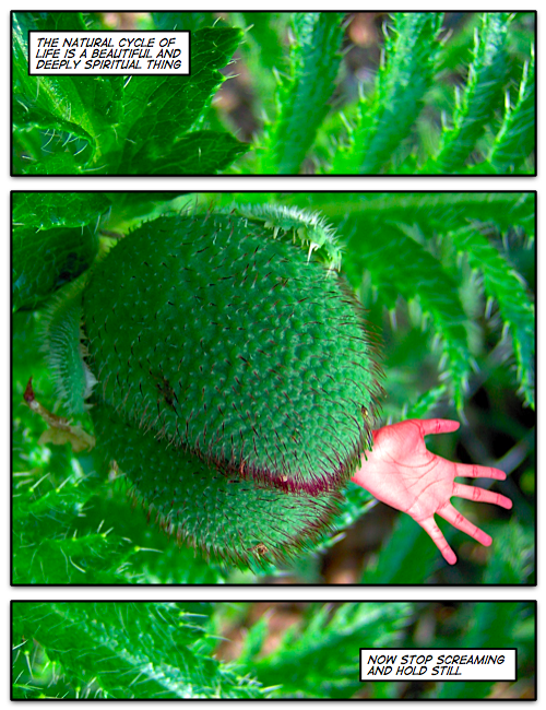 2009-07-24.png