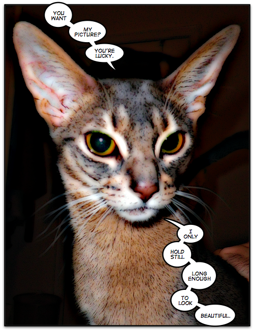 2012-01-13.png